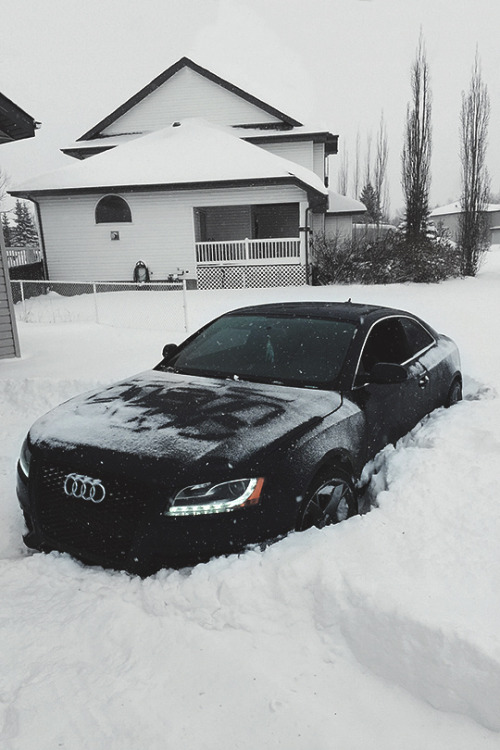 azearr:

azearr:

Audi RS5 | Source | Azearr


u guys ready for winter?