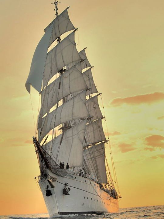 gonautical:



Gorch Fock Tall Ship Sailing
