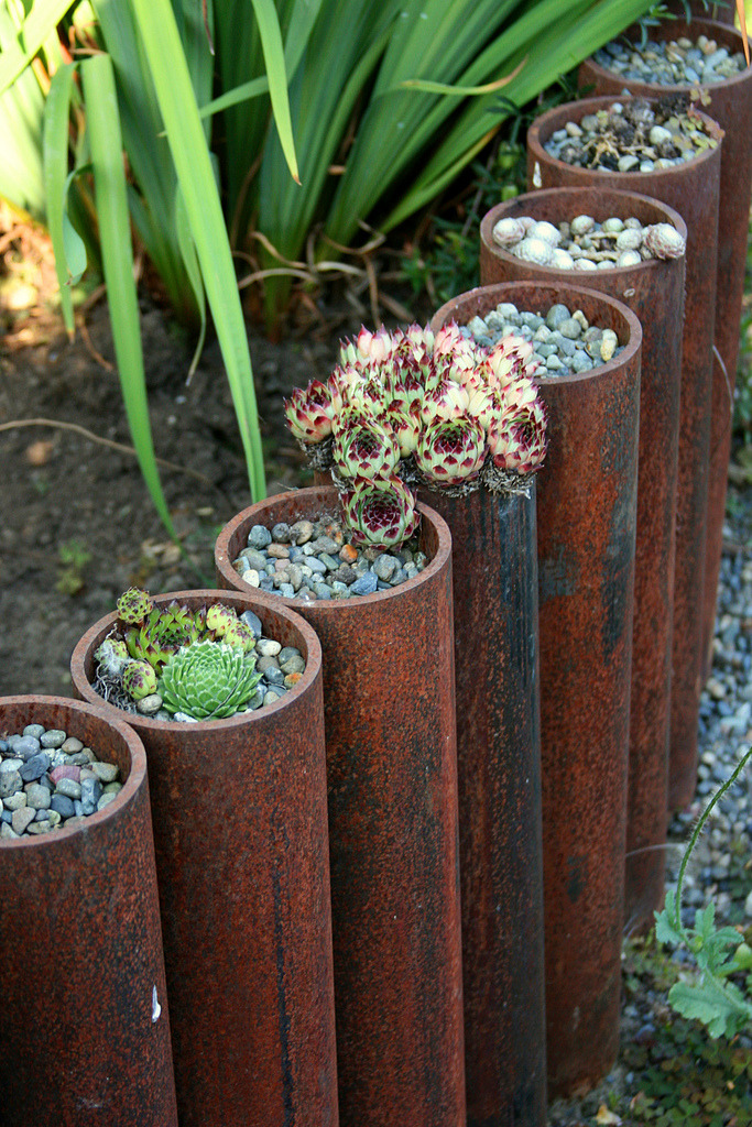 Planting succulents in copper pipes to make a creative garden edging.