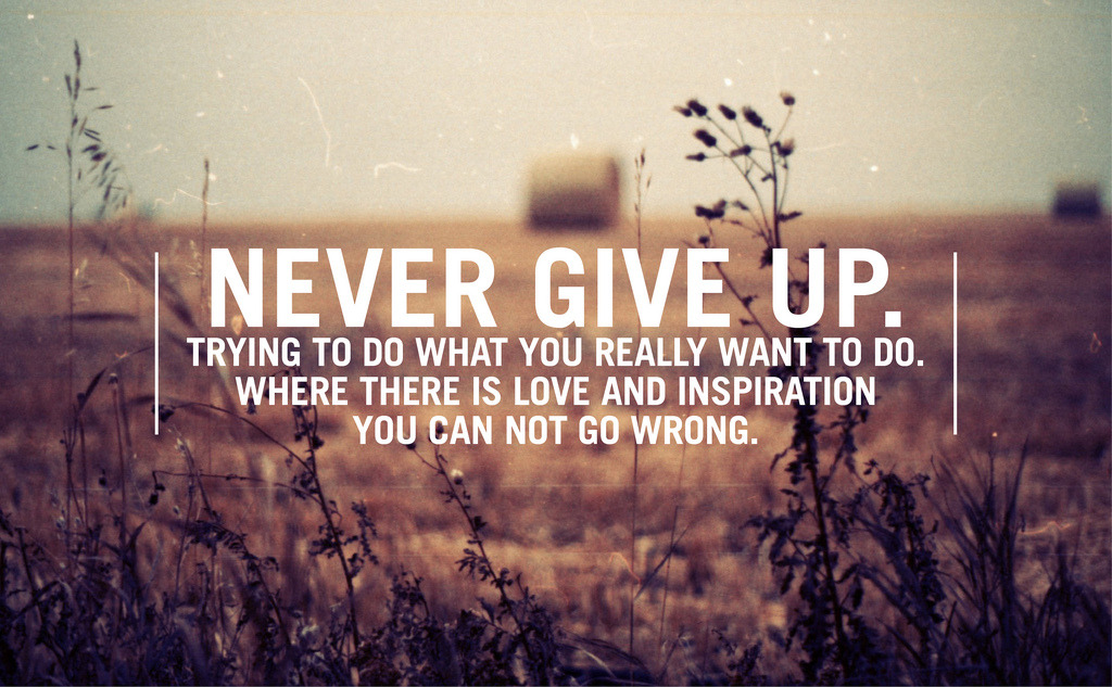 Never Give Up Essay