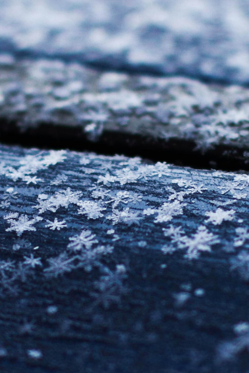 ponderation:

Snowflakes on the Roof by ILIAS NIOTIS


