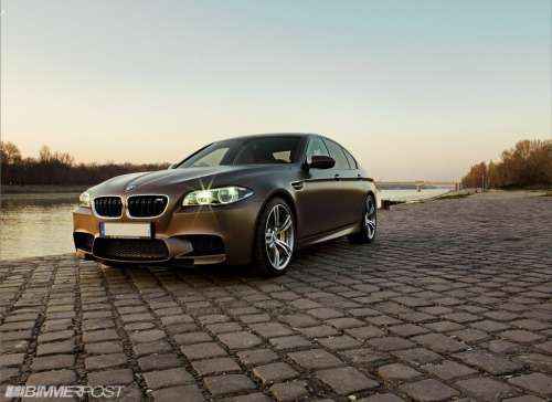 via BMW Individual Frozen Bronze M5 Competition w/ Nutmeg Interior )