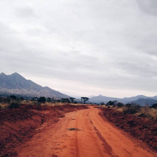 stevekitots:Tsavo West National Park … The road to Jipe before we found ourselves lost and headed in the opposite direction over shooting out route by over 100kms 😳 #igkenya #safari #tsavo #ig_africa (at Tsavo West National Park)