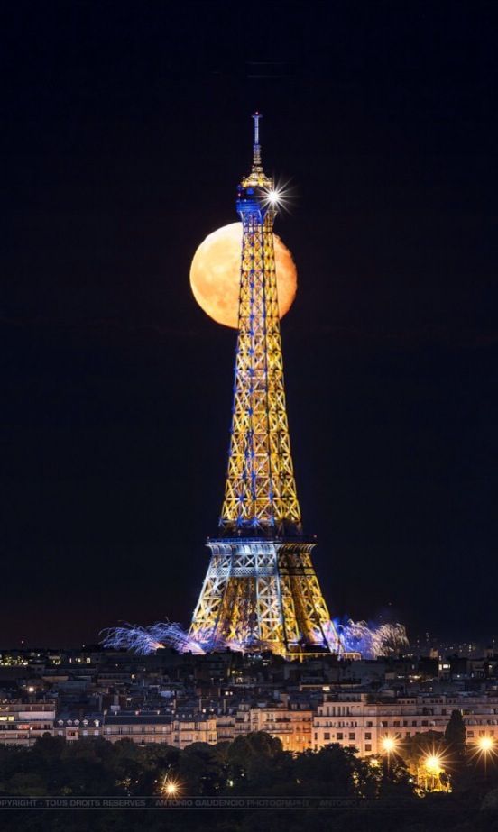 (vía Big Moon at Paris July 2014)