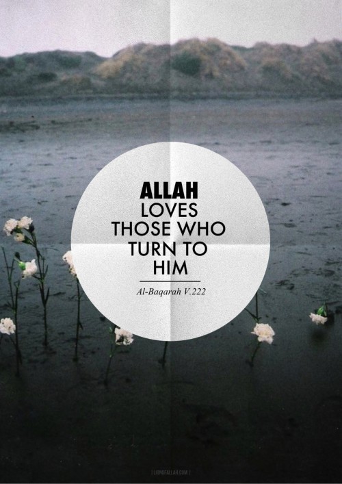 Allah loves those who turn to HimOriginally found on: lionofallah