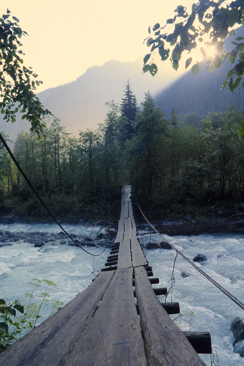 expressions-of-nature:

Track at Dawn : Nikiforov Yegor
