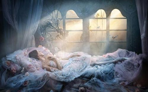 nyamo-nya:

♔ enchanted fairytale dreams ♔  on We Heart It - http://weheartit.com/entry/62262718/via/evgenia_selezneva1

 Hearted from: http://vi.sualize.us/enchanted_fairytale_dreams_picture_AqBd.html