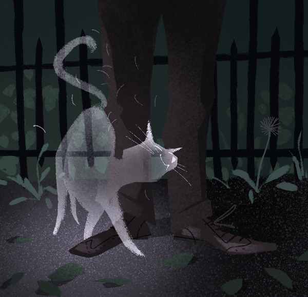 drawlloween #1: ghost cat wants to get your pants hairy, even in the afterlife