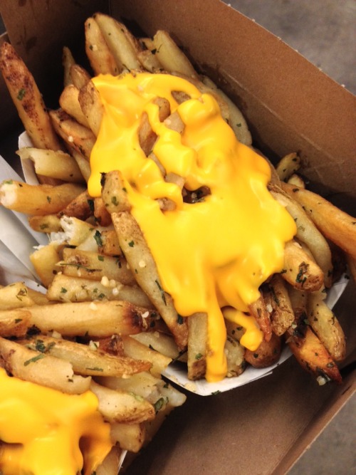 decaying-organic-matter:

Yankees stadium garlic cheese fries
