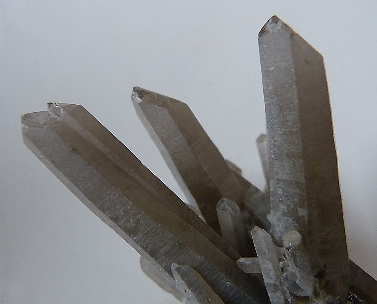 rockon-ro:

QUARTZ (Silicon Dioxide) crystals from Brazil. Variety is smoky quartz. 
