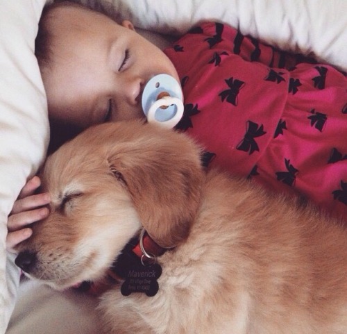 awwww-cute:My cousin got a new puppy for her family. This is Maverick &amp; her little girl