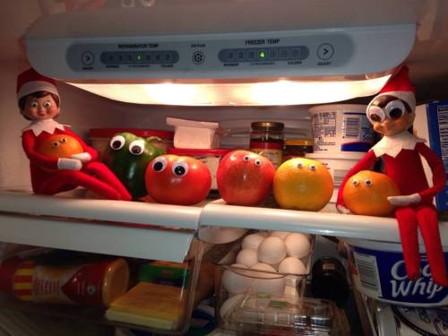 Elf on the Shelf Only Has Eyes for YouElves Chippy and Candy found some googley eyed friends in the fridge!