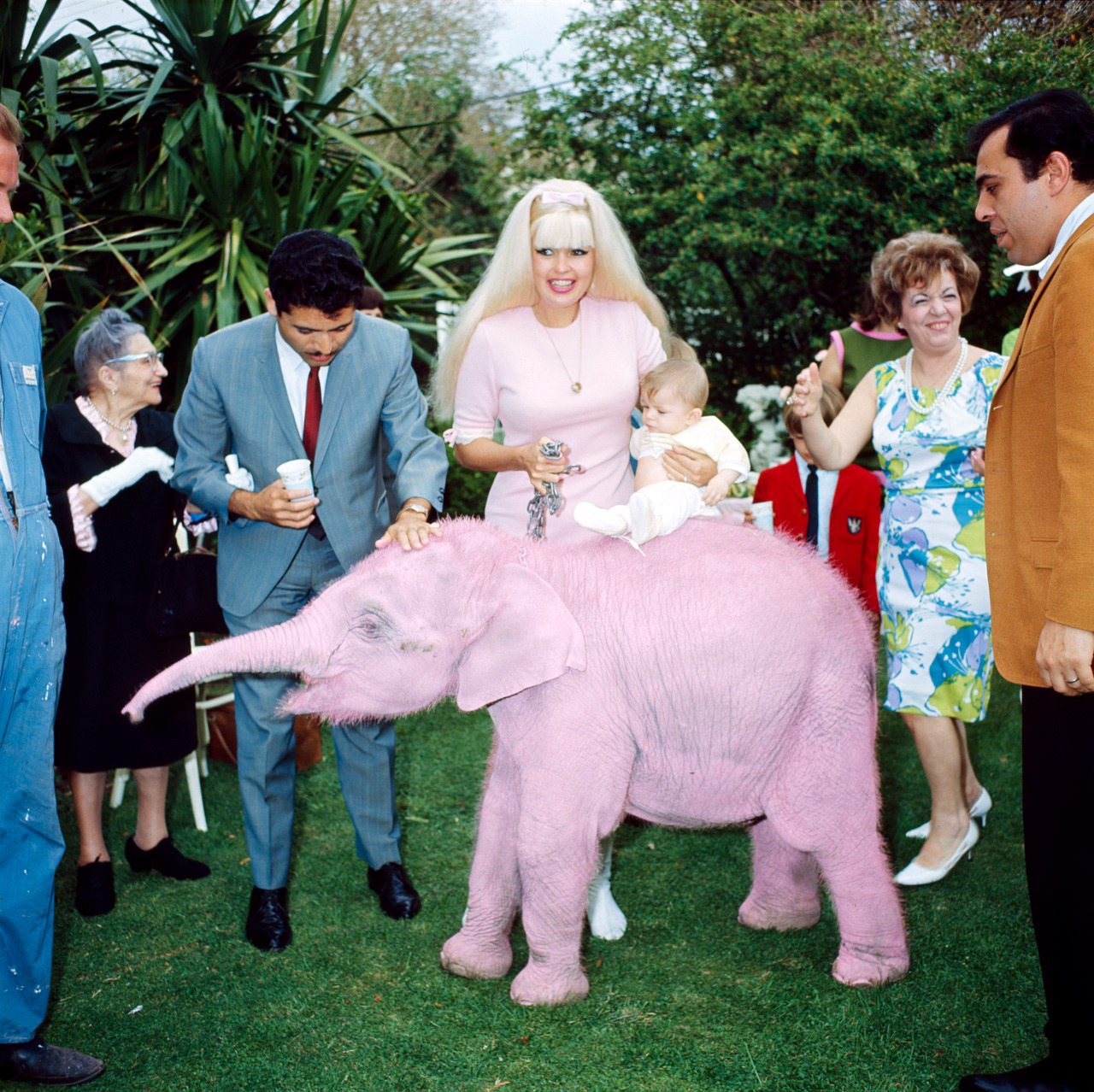 weirdvintage:  Jayne Mansfield with pink baby elephant at her birthday party, 1960s (via World of Wonder)  And baby who would grow up to be the equally beautiful Mariska Hargitay from Law &amp; Order SVU