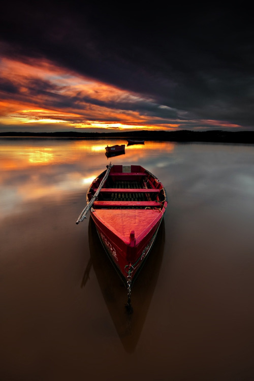 wowtastic-nature:

💙 Red on 500px by Hugo Borges, Leiria, Portugal☀  633✱950px-rating:99.8