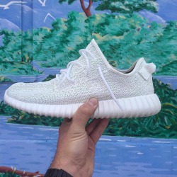 YZY Boost 350