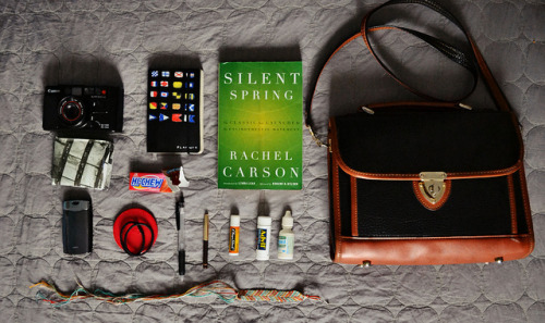 whats in my bag by erin l navarro on flickr