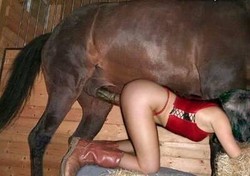 Horse girls fuck Big horse