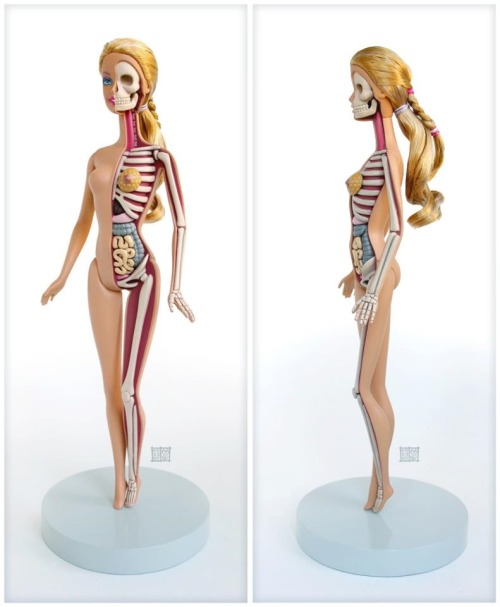 Girl anatomically correct sex dolls