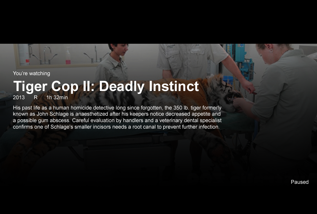 Tiger Cop II: Deadly Instinct