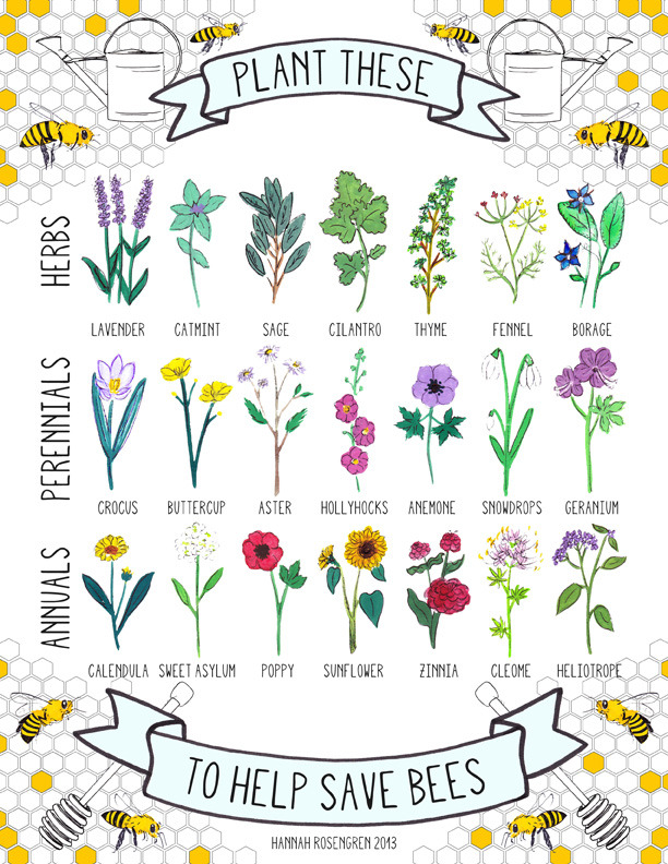Plant These to Help Save Bees by Hannah Rosengren