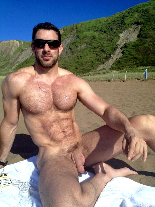 All nude male beach bodies
