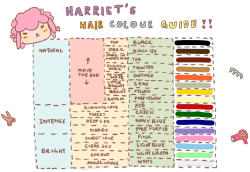 Hair Guide And Color Acnl | HAIRSTYLE GALLERY