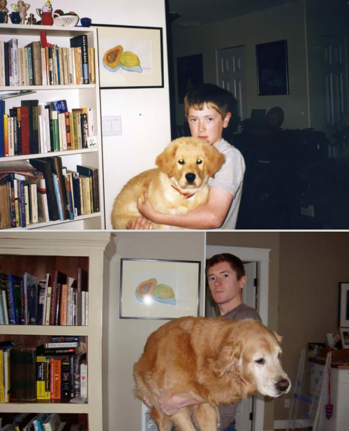 fotos de animais antes e depois Tumblr_n1a6a5AUZx1qewacoo8_r2_500
