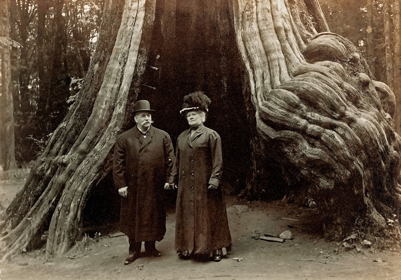 John L Sullivan and his wife at the Hollow Tree in Stanley Park. Source: Yale University, Beinecke Rare Book and Manuscript Library, #WA MSS S-2513