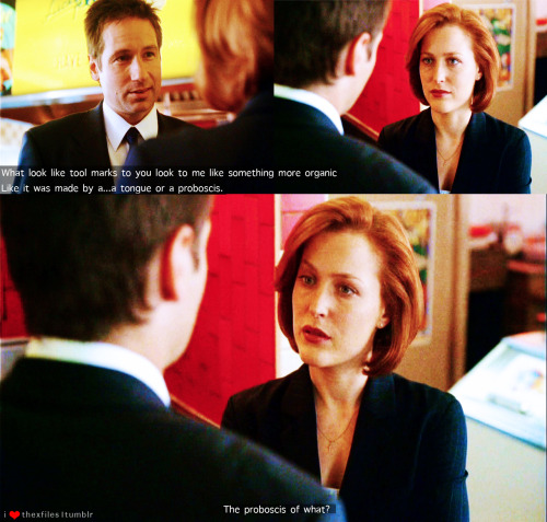 7x01 Hungry Take notice…Mulder is blabbing about tongues and elongated appendages and Scully’s eyes go straight to his mouth. I can’t…