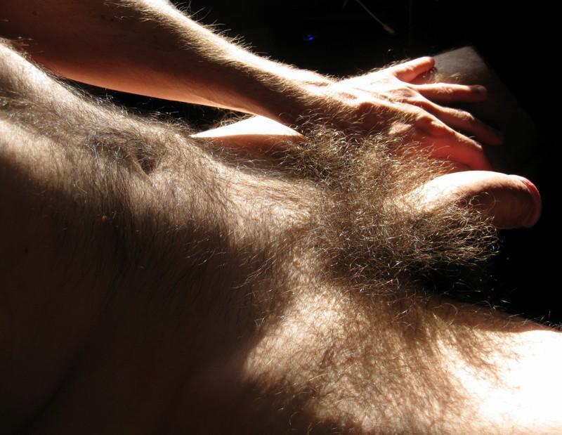Naked men with bushy pubes