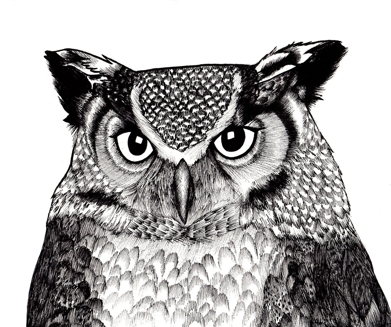 Owly - drawn with fineliners http://lottiedraws.tumblr.com